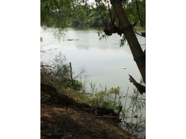 for rent or sale Land next to the Bang Pakong River, 68 km