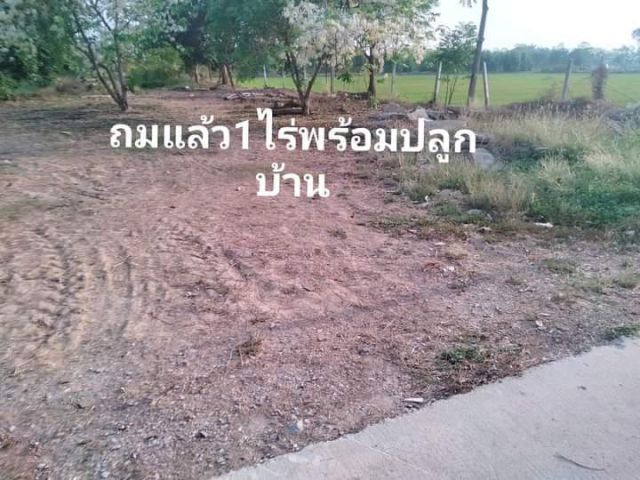 ขายที่นา11 ไร่ 57 ตรว. ราคาถูกติดถนนไฟฟ้าปะปาเข้าถึง