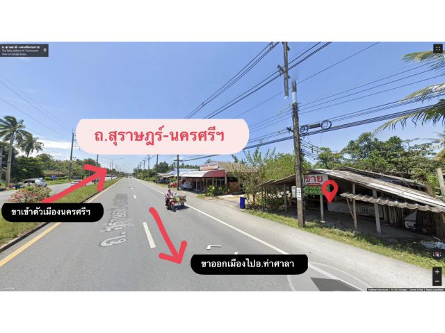 ที่ดินติดถนนสายหลัก ราคาไม่ถึงล้าน อ.ท่าศาลา จ.นครศรีฯ