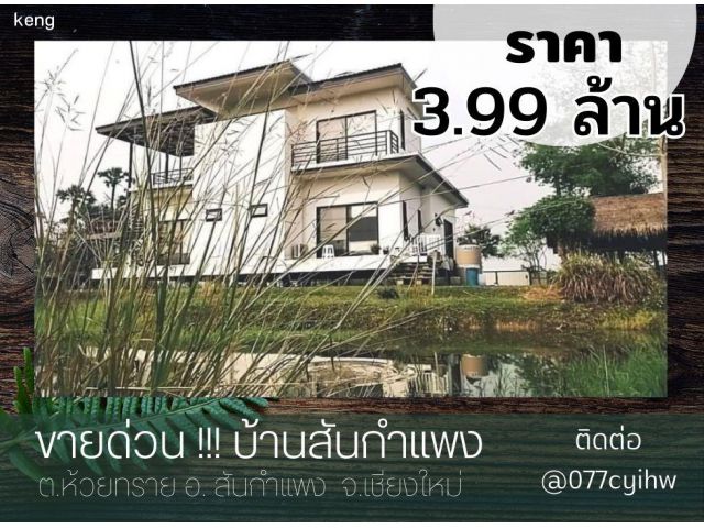 ขายบ้านสันกำแพง​ ด่วน! ขายถูก​ 3.99ล. บนพื้นที่ 1ไร่ 2 งาน 76 ตรว.(โฉนด)