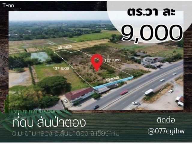 ขายด่วนที่ดินสันป่าตอง ติดถนนเชียงใหม่-ฮอด   จากปกติ 15,000/ตร.ว  เหลือวาละ 9,000