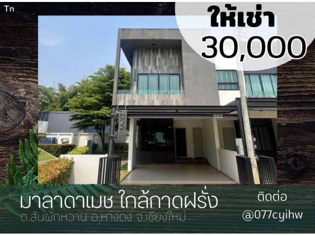 ให้เช่าบ้านหางดง มาลาดาเมช ใกล้กาดฝรั่ง ราคาเช่า 30,000 บาท/เดือน