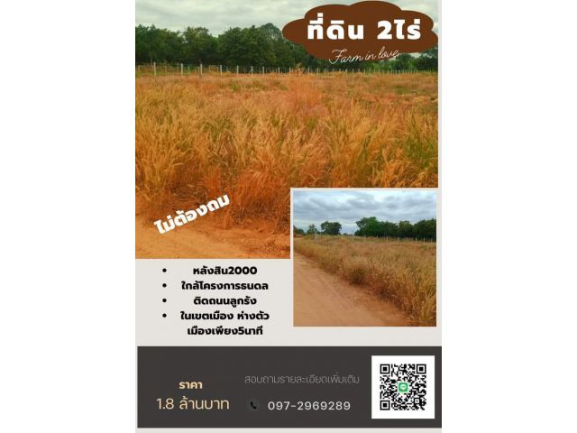 ขายที่ดิน2ไร่ บ้านมอดินแดง หลังสิน2000จ.ขัยภูมิ