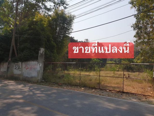 ขาย ที่ดิน เปล่า ใกล้โรงพยาบาลกรุงเทพ เชียงใหม่ 1-3-42 ไร่  22,000 /ตรว.