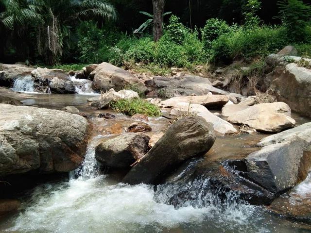 ขายที่ดินบ้านแม่แรมแม่ริมติดน้ำตกแม่สาใกล้เมืองพร้อมโอน