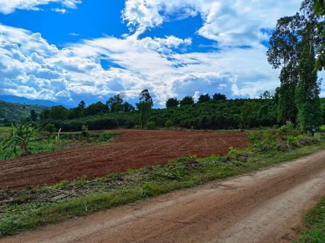 ขายที่ดินวิวดอยแม่นะเชียงดาวห่างตัวเมืองเพียง 5 กมพร้อมโอน