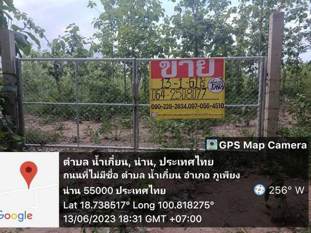 ขายที่ดิน พร้อมต้นสัก 13-1-61 ไร่ บ้านน้ำเกี๋ยน   อ.ภูเพียง  จ.น่