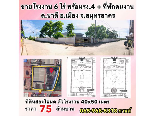 ขายโรงงานมือสองขนาด 6 ไร่ มีรง.4 พร้อมห้องพักคนงาน12ห้อง ต.นาดี อ.เมือง จ.สมุทรสาคร