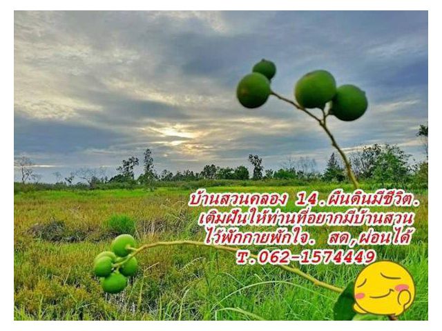 มีฝันอยากได้ที่ดินทำบ้านสวนที่นี่บ้านสวนคลอง14 สดผ่อนได้ T.062-1574449