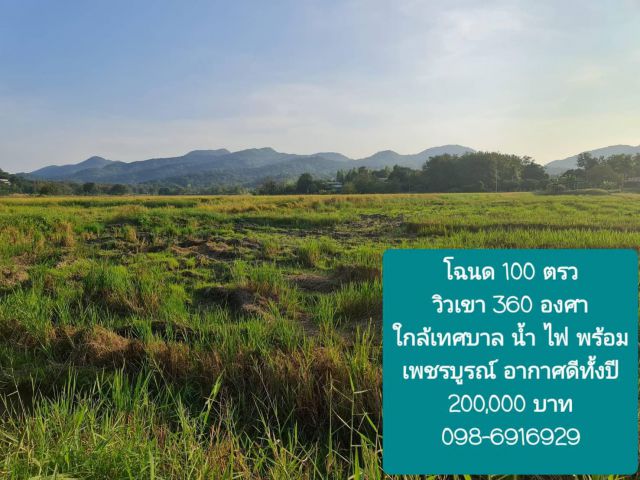 ที่โฉนด วิวเขา 360 องศา 100 ตรว. อากาศดีทั้งปี น้ำ ไฟ ถนน หน้าแปลง