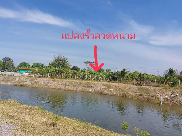 ที่ดิน กำแพงแสน ติดคลอง