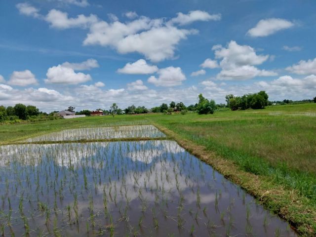 ขายที่ดิน 25-2-80 THB2,056,000 สะแบง หนองหาน อุดรธานี