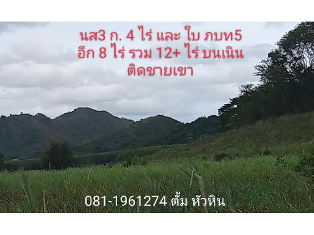 ขายที่ดิน นส3 ก. และภบท 5 รวม 12 ไร่ บนเนินสูง และ ติดชายเขา