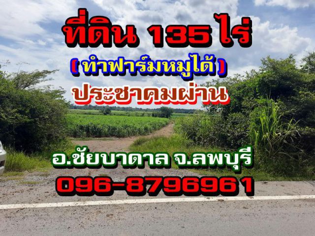 ขายที่ดิน135ไร่(โฉนด)ทำฟาร์มหมูได้ ติดถนนลาดยาง อ.ชัยบาดาล จ.ลพบุรี