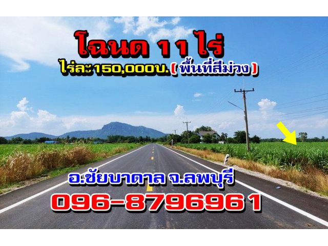 ขายที่ดิน11ไร่ติดถนนลาดยาง(พื้นที่สีม่วง)ต.นิคมลำนารายณ์ อ.ชัยบาดาล จ.ลพบุรี