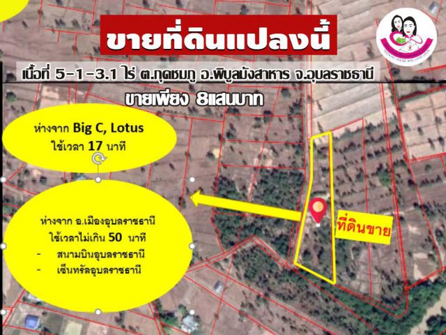 ขายที่ดินเปล่า 5-1-3.1 ไร่ ต. กุดชมภู อ. พิบูลมังสาหาร จ. อุบลราชธานี