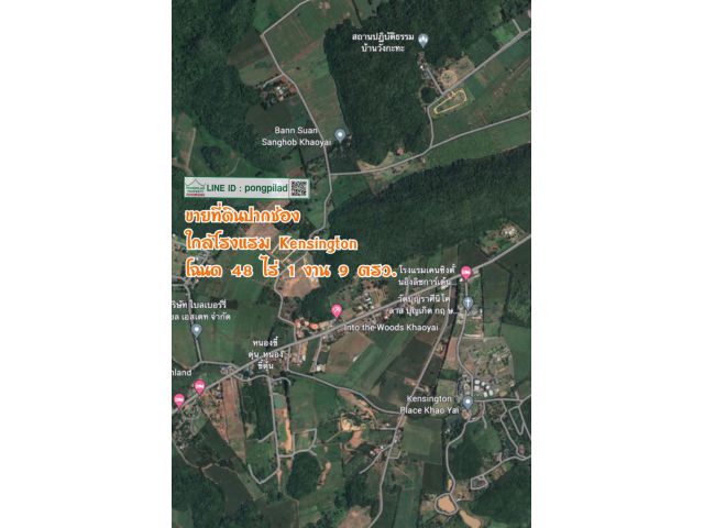 ขายที่ดินปากช่อง ใกล้โรงแรม Kensington วิวเขา โฉนด 48 ไร่ 1 งาน 9 ตรว. ไร่ละ 2.5 ล้าน