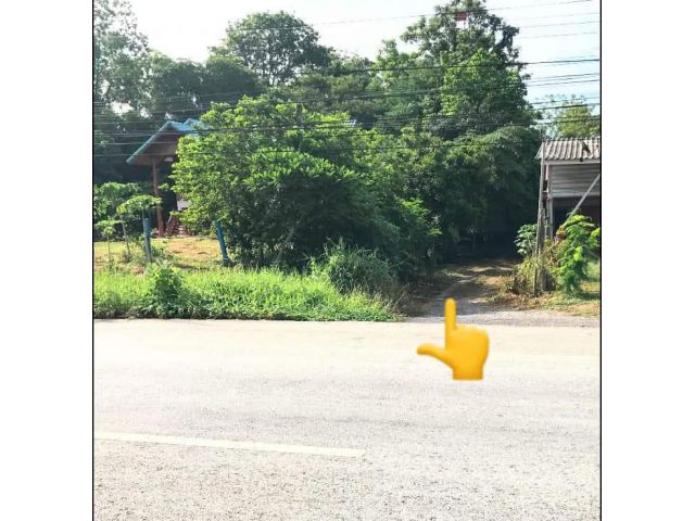 ที่ดินเปล่า อยู่อาศัย ใกล้ถนนสายหลัก เขต อ.เมืองอุตรดิตถ์