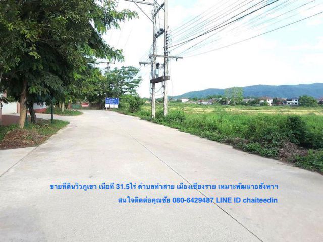 ##ขายที่ดิน 31-3-17ไร่ ตำบลท่าสาย เมืองเชียงราย ที่ดินติดทางสาธารณะโยชน์ 42เมตร วิวภูเขา ##