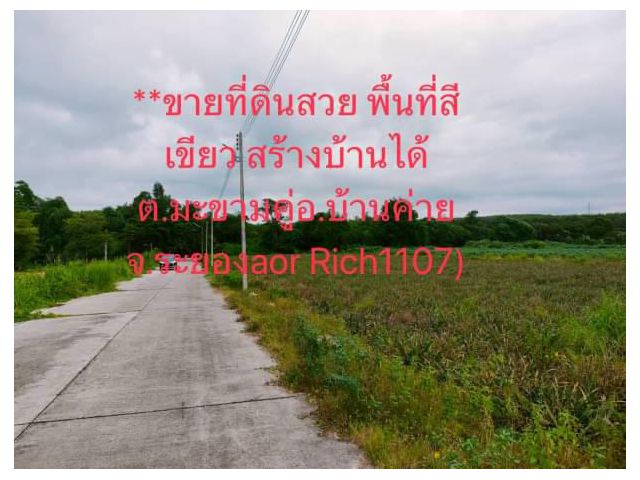 #ขายที่ดินสวย พื้นที่สีเขียว สร้างบ้านได้ ต.มะขามคู่อ.บ้านค่าย จ.ระยอง (aor Rich1107)