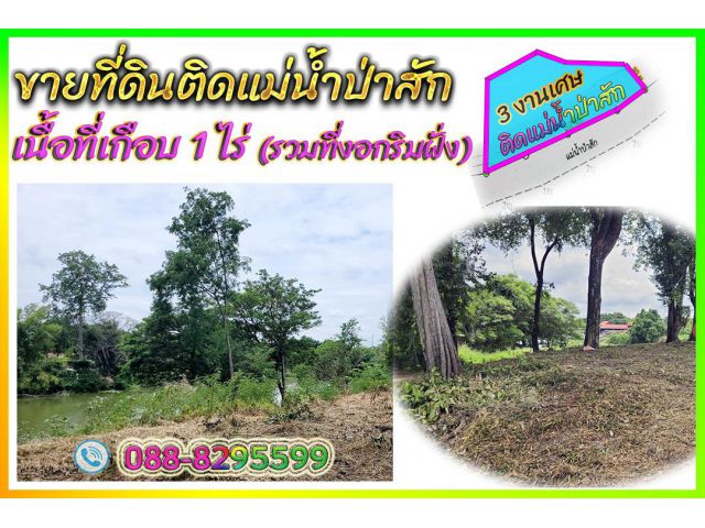 ►►► New ***เจ้าของขายเอง ขายที่ดินติดแม่น้ำป่าสัก เนื้อที่เกือบ 1 ไร่ ใกล้โรงเรียน ใกล้ตลาด ใกล้ชุมชน *** ขาย 4.2 ล้าน