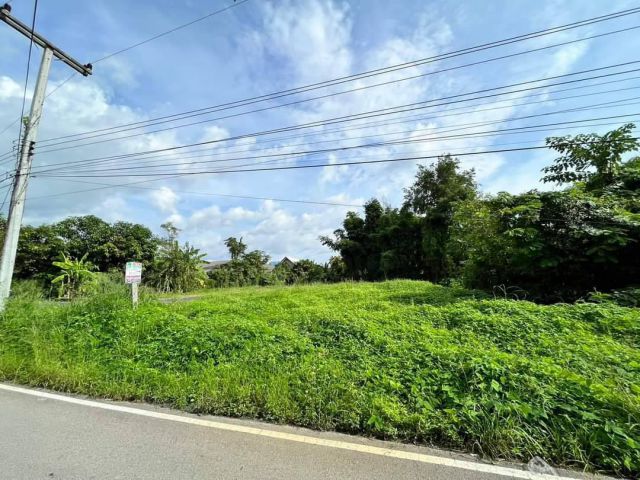 ขายที่ดินบ้านน้ำบ่อหลวงสันป่่าตองห่างถนนเลี่ยงเมือง 500เมตร