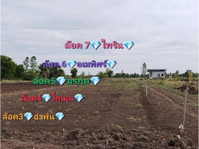 ขายถูก ที่ดินแบ่งขาย ติดถนนลาดยาง โคกสำโรง  ลพบุรี