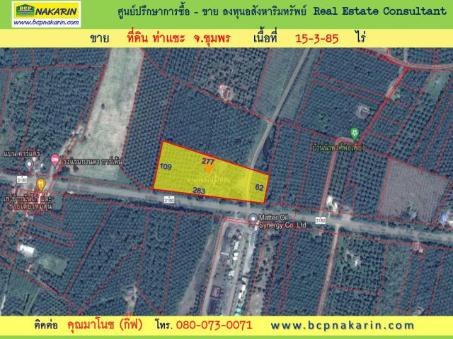 ขายที่ดิน 15-3-85ไร่ ใกล้โรงเรียนไทยรัฐวิทยา อ. ท่าแซะ จ. ชุมพร