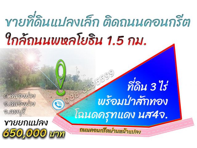 ►►► New *** ขายที่ดินราคาถูกเกือบ 3 ไร่พร้อมต้นสักทอง เอกสารโฉนด หนองม่วง ลพบุรี