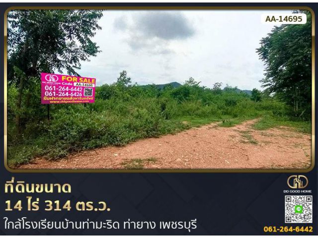 ที่ดินขนาด 14 ไร่ 314 ตร.ว. ใกล้โรงเรียนบ้านท่ามะริด ท่ายาง เพชรบุรี