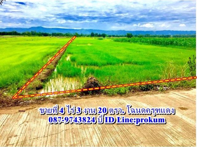 ขายที่ดินเพชรบูรณ์ 4 ไร่