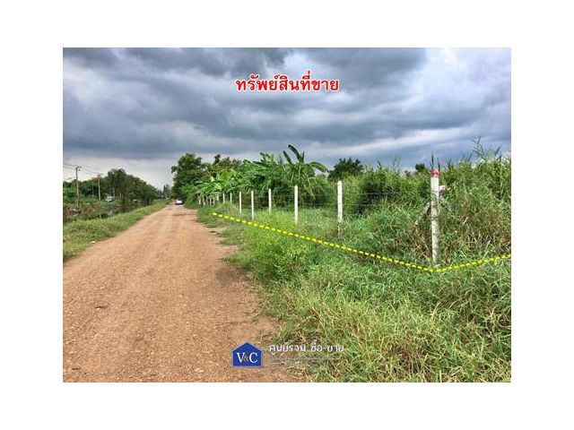 ที่ดินเปล่า คลองหลวง คลอง 4 พื้นที่ 1-1-38 ไร่  ต.คลองสี่ อ.คลองหลวง  จ.ปทุมธานี