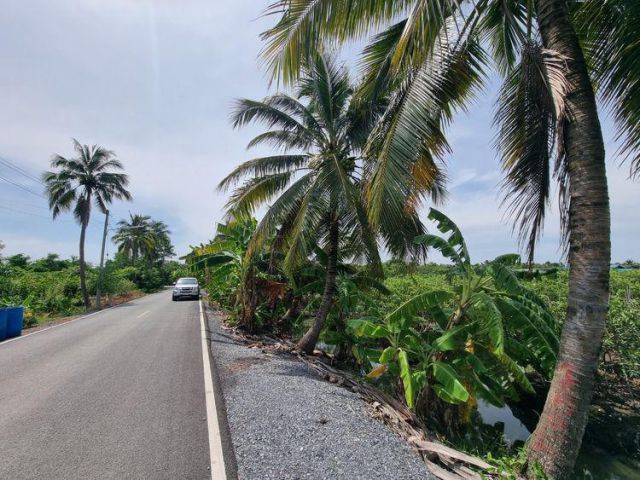 ขายที่ดิน สามพราน นครปฐม 5 ไร่ ใกล้ สวนสามพราน ติดทางสาธารณะ ตรว. เพียง 4,000