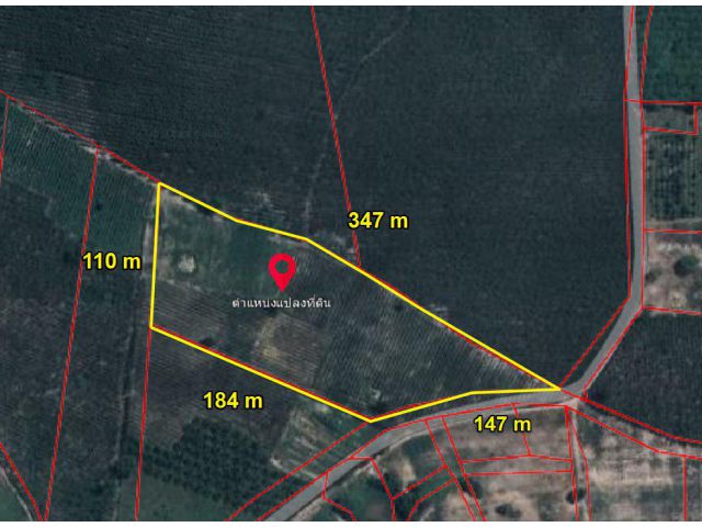 ขายที่ดินหนองกี่ 17 ไร่ ใกล้ถนนเส้น 3039 - 2.4 กม. อ.กบินทร์บุรี จ.ปราจีนบุรี
