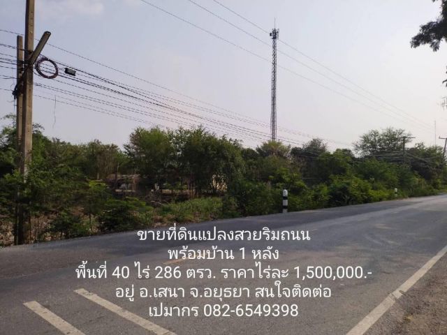 ขายที่ดินเปล่าติดถนนพร้อมบ้าน 1 หลัง พื้นที่ 40 ไร่ 286 ตรว.ราคา ไร่ละ 1.5 ล้านบาท อยู่ อ.เสนา จ.อยุธยา