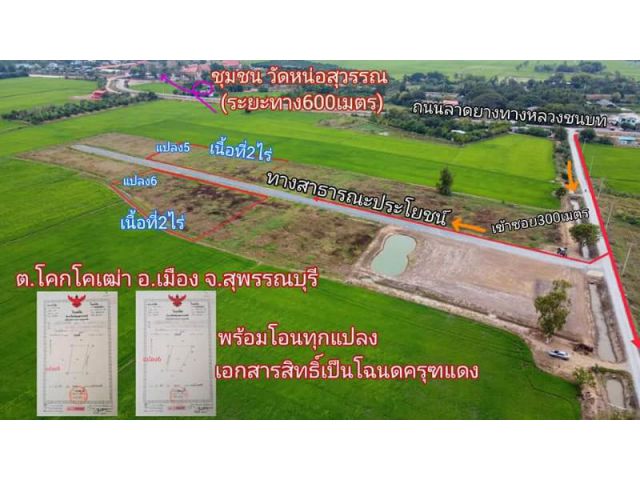 ที่ดินเนื้อที่2ไร่