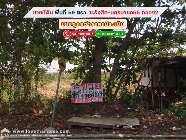 ขายที่ดิน ซ.รังสิต-นครนายก55 คลอง2 พื้นที่59ตรว. ขายถูกลดราคาพิเศษ ใกล้ฟิวเจอร์พาร์ค รังสิต *ขายถูกกว่าราคาประเมิน*