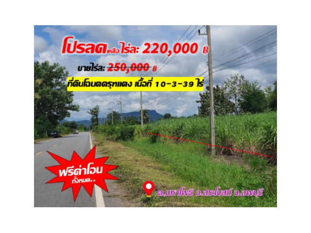 ●โปรลดราคาส่งท้ายสิ้นปี 》》ขายที่ดินติดถนนสาย 2340 บ้านมหาโพธิ มีไฟฟ้า, ใกล้ชุมชน การเดินทางสะดวก ●ต.มหาโพธิ อ.สระโบสถ์ จ