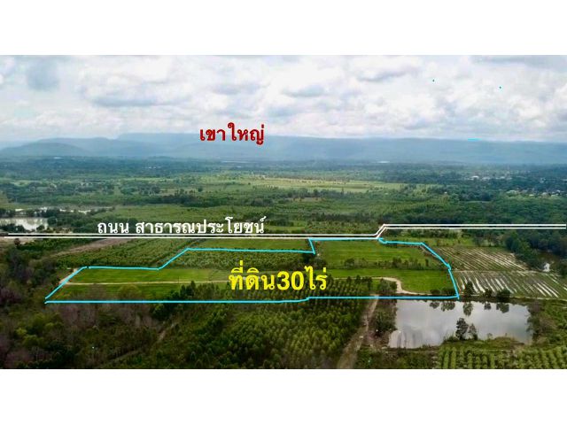 ขายที่ดิน 30 ไร่ เห็นวิวเขาใหญ่ อยู่ตำบลโพธิ์งาม อำเภอประจันตคาม จังหวัดปราจีนบุรี