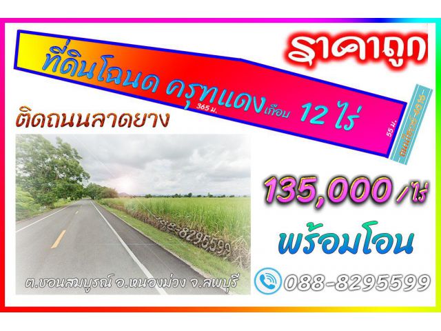 ขายที่ดินราคาถูกเกือบ 12 ไร่ เอกสารโฉนด หนองม่วง ลพบุรี ราคาขายเพียง 135,000 บาทต่อไร่