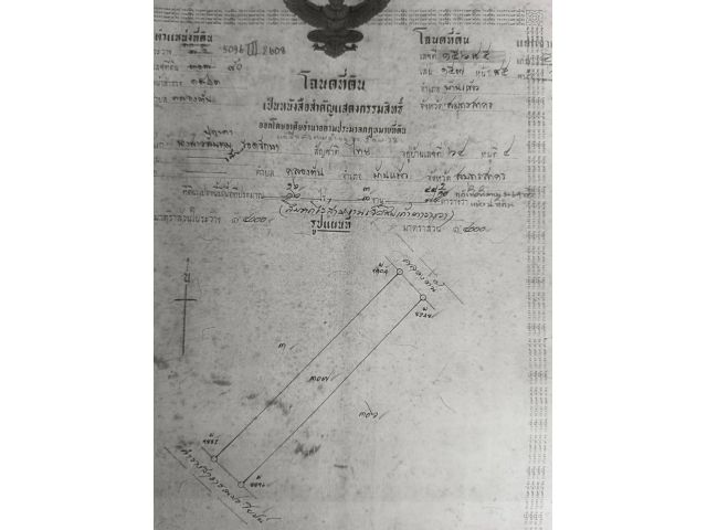 ขายเหมายกแปลง 11 ไร่ 2งาน 96 ตรว