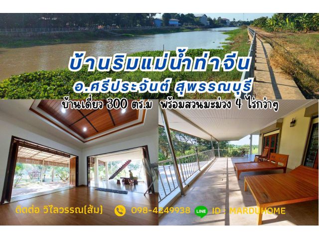 บ้านเดี่ยว ริมแม่น้ำท่าจีน สวยมาก ขายพร้อมสวนมะม่วง พื้นที่ 4 ไร่ กว่าๆ  ต.วังน้ำซับ อ.ศรีประจันต์ จ.สุพรรณบุรี