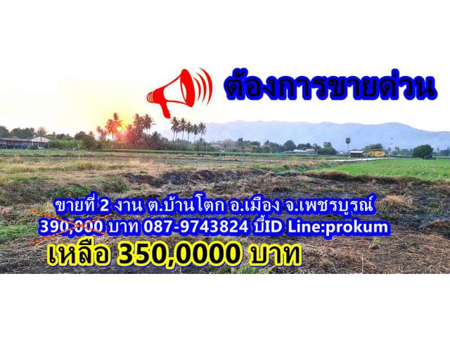 ขายด่วนที่ 2 งาน 350,000 ต.บ้านโตก