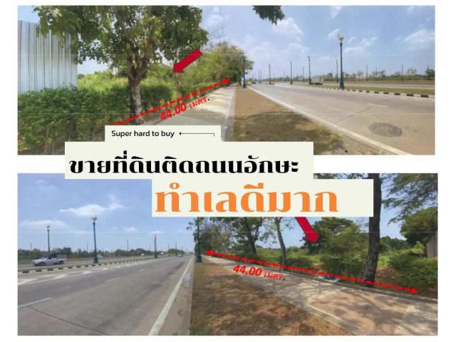 ขายที่ดิน5ไร่