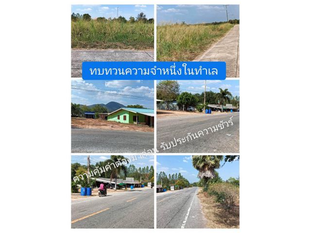 ทำเลที่สวยใส ทยานไปให้ใครติดตาม สมบูรณ์แบบแทบไม่เชื่อสายตาว่าจะใช่ราคานี้ ชุมชนถนนหลัก ความแตกต่างที่ลงตัวเสนอความชัวร์ให้เชื่อมั่น