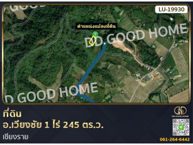 ที่ดิน อ.เวียงชัย 1 ไร่ 245 ตร.ว. เชียงราย