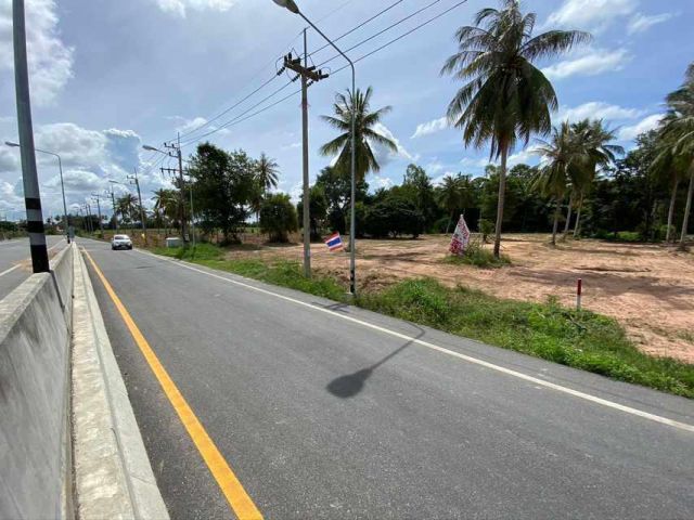 L05 ขายที่ดิน 4 ไร่ ห้วยใหญ่ ติดถนน 60 ม. ใกล้ด่านเก็บเงินห้วยใหญ่/Land For Sale 4 Rai Near Huay Yai Near Motoway Gate