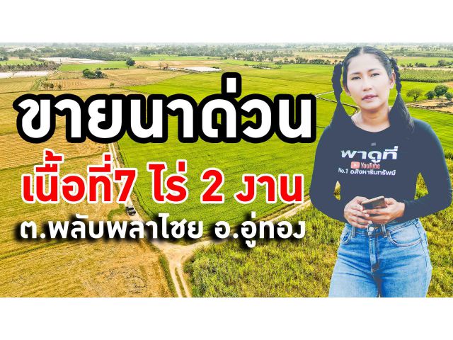 ขายที่ดินราคาถูก ต.พลับพลาไชย อู่ทอง สุพรรณบุรี วิวเขา บรรยากาศดี มีเพื่อนบ้าน