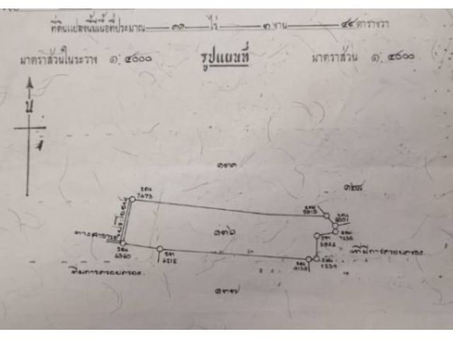 ขายที่ดินสวยๆวิวภูเขาธรรมชาติ 11-3-49ไร่