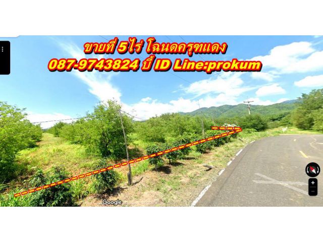 ขายที่ดินเพชรบูรณ์ 5 ไร่ โฉนดครุฑแดงติดถนนลาดยาง